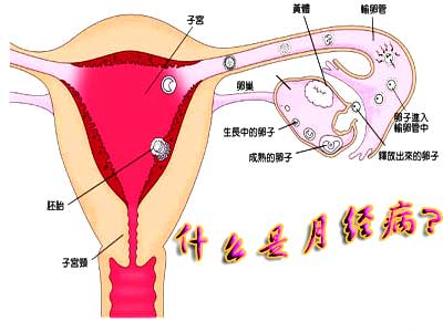 月经不调的原因